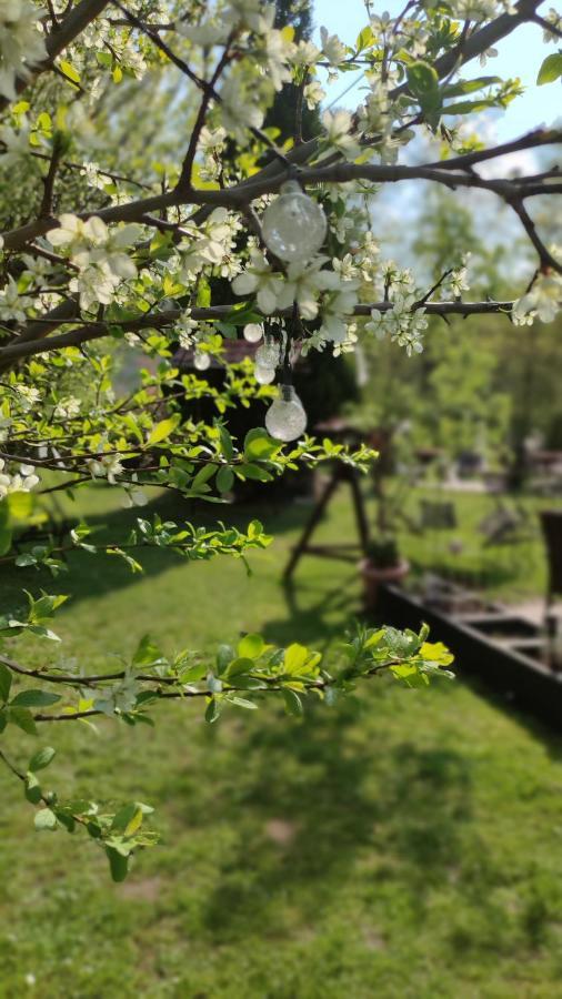 Schlossparkhotel Sallgast Zewnętrze zdjęcie